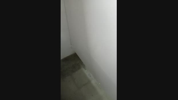 felixm98 27-11-2024 Recorded Video prettyface
