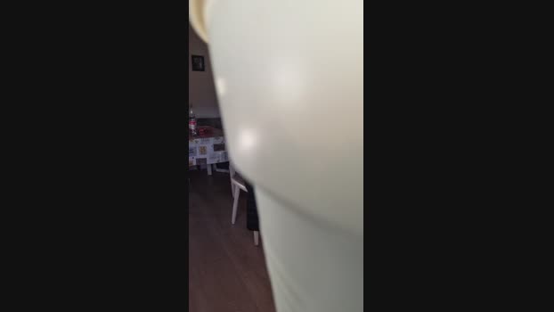 Doperman 29-11-2024 Recorded Video skinny