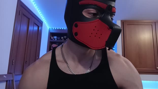 Frabroker 28-11-2024 Recorded Video legs