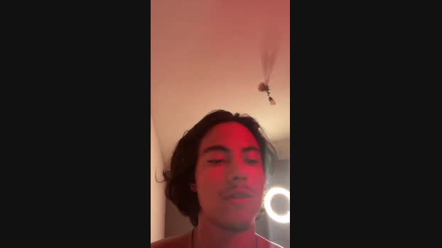 MeninoLobo_ 28-11-2024 Recorded Video squirt