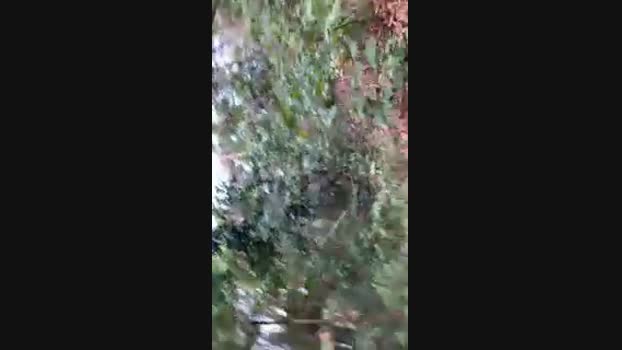 Nado1santos 28-11-2024 Recorded Video wank