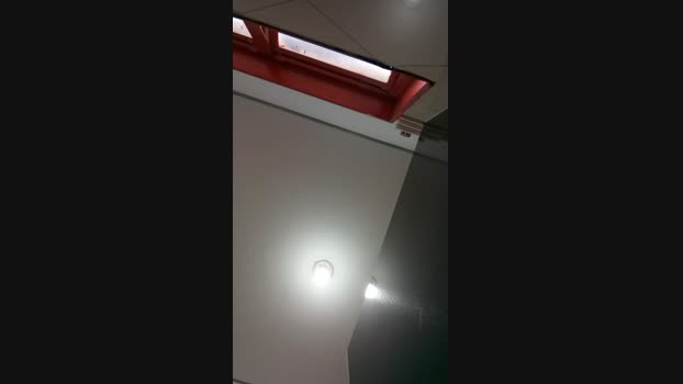 Novinho_sfd26 28-11-2024 Recorded Video fuckass