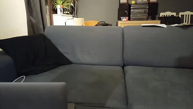 bleuroy 28-11-2024 Recorded Video jerking
