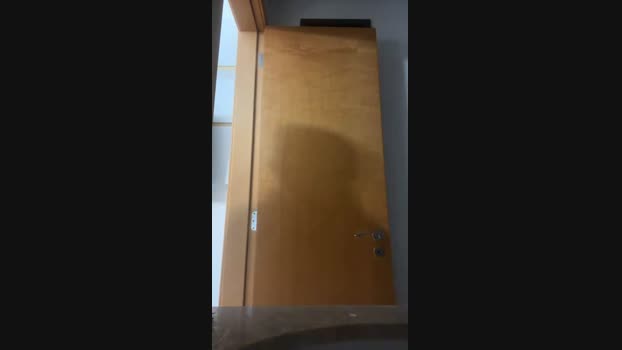 fellipemath222 29-11-2024 Recorded Video ass