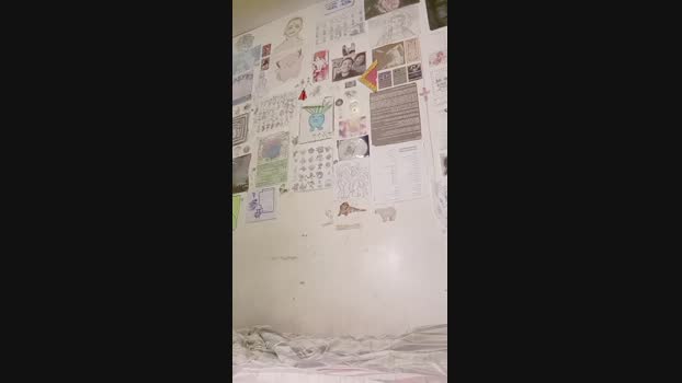 perro4lreves777 29-11-2024 Recorded Video toy