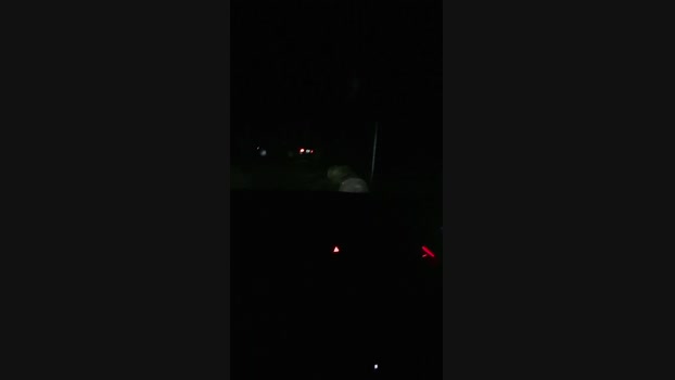 publicpppig1 28-11-2024 Recorded Video bigtoys