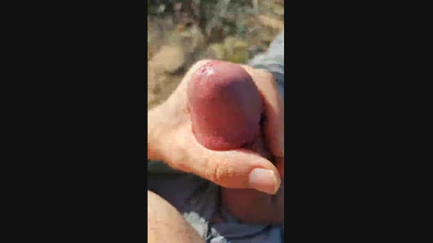 19depolla 30-11-2024 Recorded Video Download