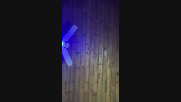 Brunodosanjos 30-11-2024 Recorded Video harddick