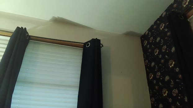 LumberJackStud 29-11-2024 Recorded Video wank
