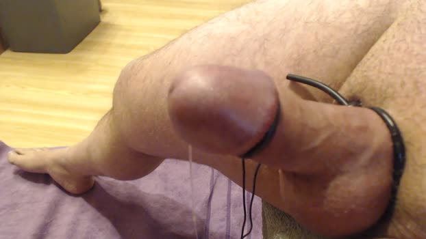 NohandsCumxx 29-11-2024 Recorded Video bicurious