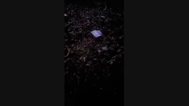 Outdoorgeil1 29-11-2024 Recorded Video Recorded