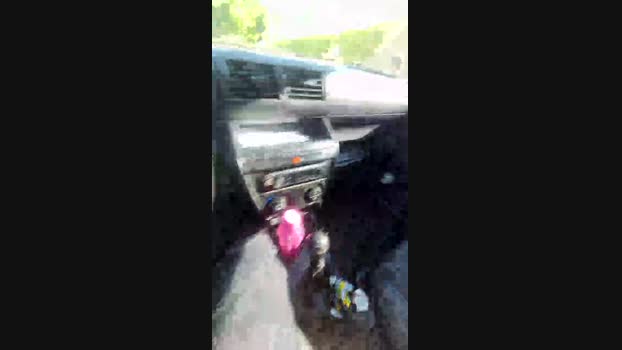 Papionfire 29-11-2024 Recorded Video fuckass