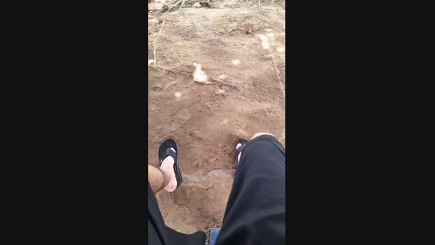 Vanluiz28 30-11-2024 Recorded Video deep