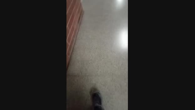 felixm98 30-11-2024 Recorded Video ass