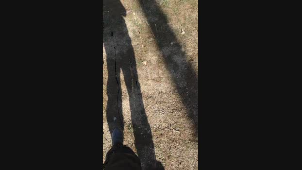 polli_play 30-11-2024 Recorded Video Cam