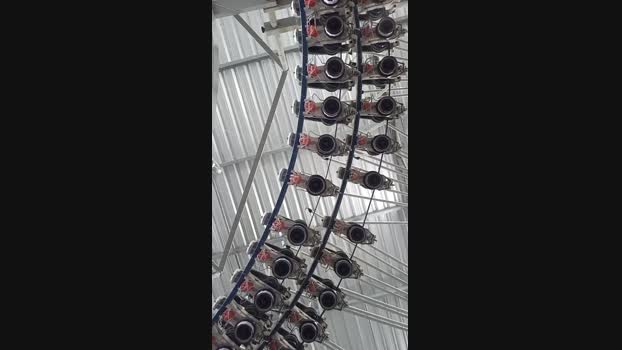 22paugg22 01-12-2024 Recorded Video skinny