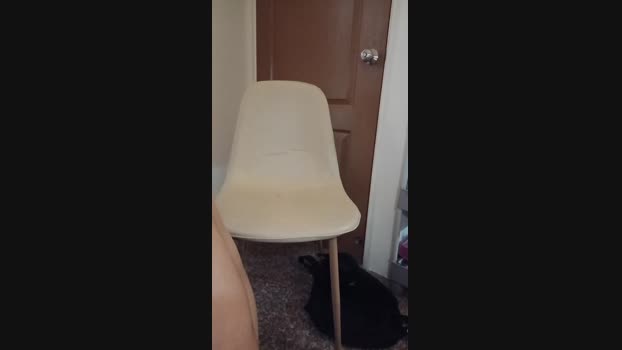 Hungasiancock 01-12-2024 Recorded Video natural