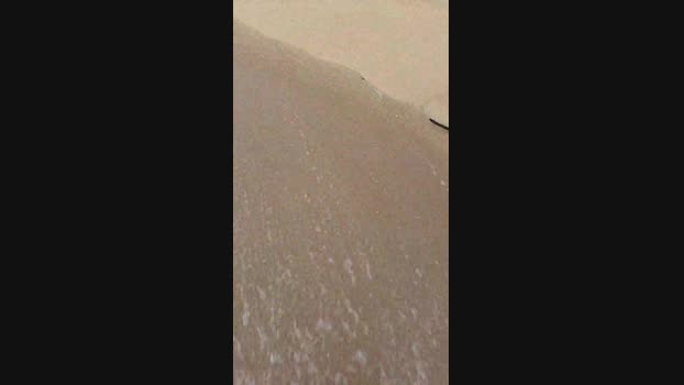 Vanluiz28 30-11-2024 Recorded Video squirt
