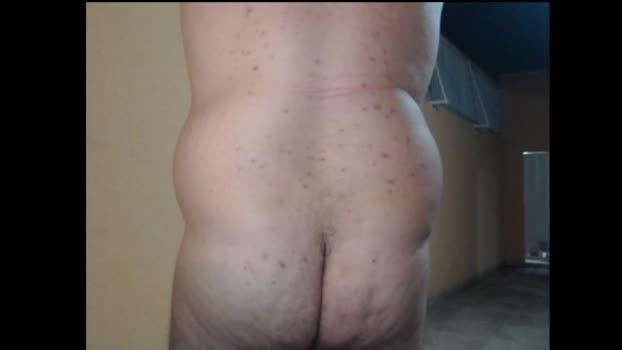 brsecretbear2