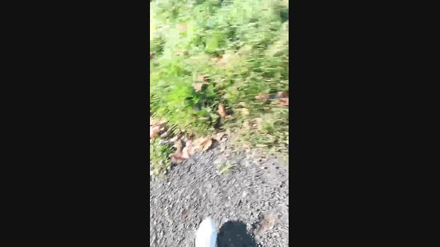 marcoroma57 01-12-2024 Recorded Video lush
