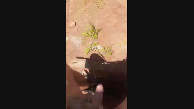 piaosexy 01-12-2024 Recorded Video skinny