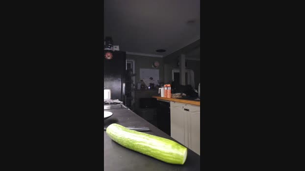 4_Fox_sakes 02-12-2024 Recorded Video naked