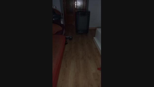 Ramar_morbazo 02-12-2024 Recorded Video Download