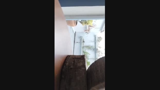 lucas5344 01-12-2024 Recorded Video fuckface