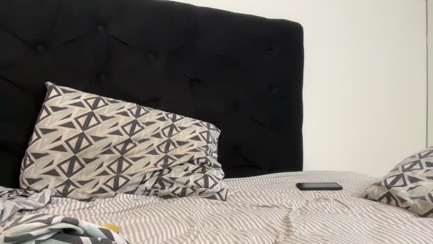 man546 01-12-2024 Recorded Video analtoy
