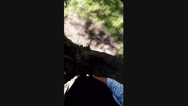 DeBombonnomas 02-12-2024 Recorded Video big