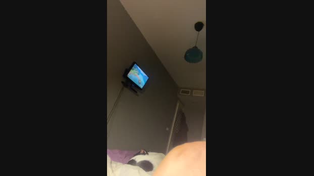 Pollon29_cm 03-12-2024 Recorded Video fuckhard