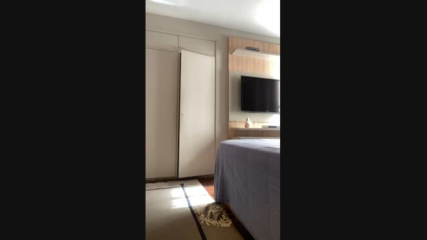 gustavao23 03-12-2024 Recorded Video play