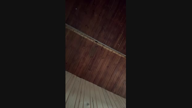 kauanpr1 02-12-2024 Recorded Video cute