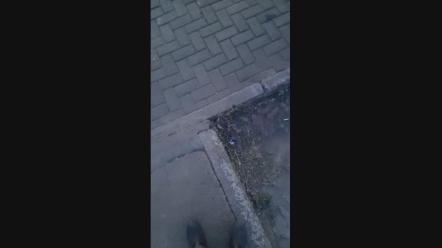 Celocam 03-12-2024 Recorded Video sexykitty