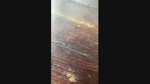 Dasul_00 04-12-2024 Recorded Video yummy