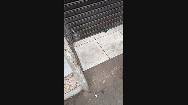 Made1nFavela 03-12-2024 Recorded Video sexybody