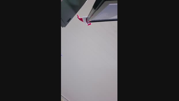 Uber_dotCwb 04-12-2024 Recorded Video Topless