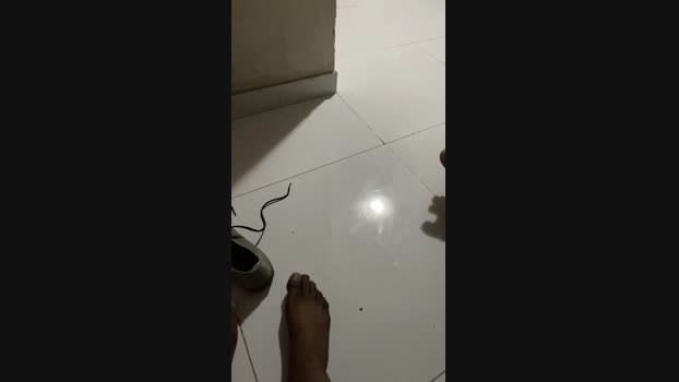 machoht24cm 04-12-2024 Recorded Video Cam