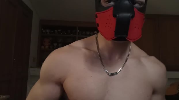 Frabroker 04-12-2024 Recorded Video jerking