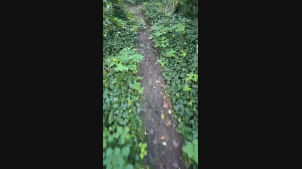 Helya_re 04-12-2024 Recorded Video play