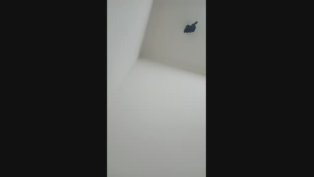 Machaosarado 05-12-2024 Recorded Video kiss