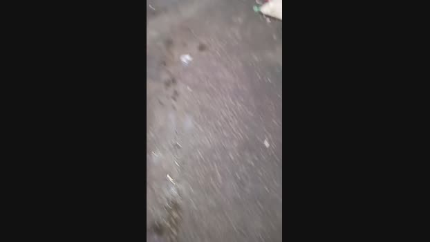 Made1nFavela 05-12-2024 Recorded Video wank