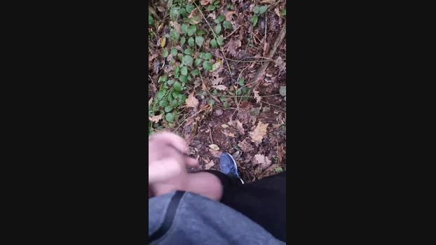 Outdoorgeil1 05-12-2024 Recorded Video blowjob