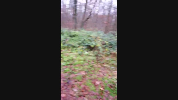 SaarlandBoy07 05-12-2024 Recorded Video kiss