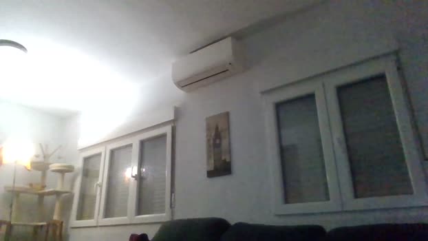 pastragonMadrid 05-12-2024 Recorded Video moan