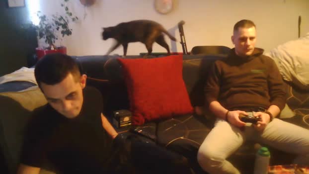 FrenchCollocgay 05-12-2024 Recorded Video kinky