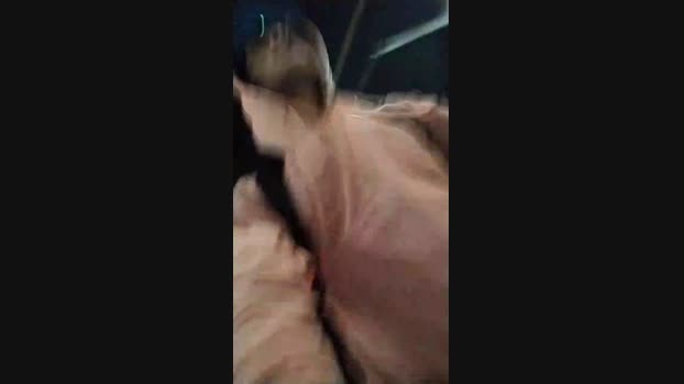 Sexylatinogay 06-12-2024 Recorded Video gag