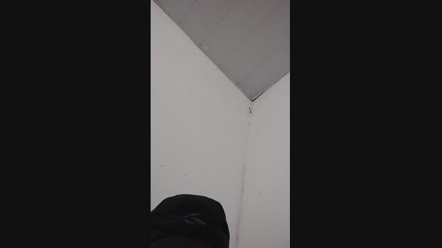 leandro1967 06-12-2024 Recorded Video nude