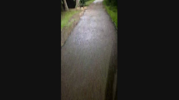 Uber_dotCwb 06-12-2024 Recorded Video legs