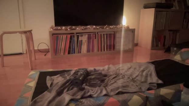 petitpup 07-12-2024 Recorded Video naked